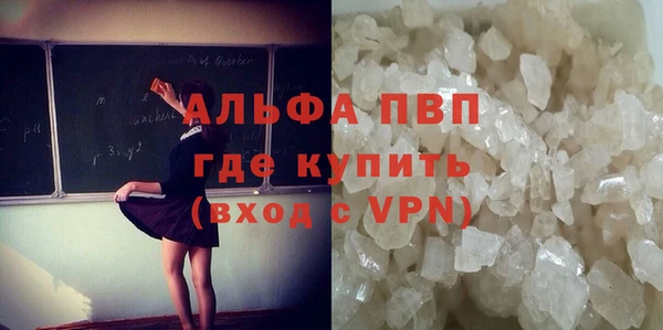 сатива Алзамай