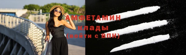 сатива Алзамай