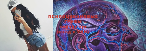 сатива Алзамай