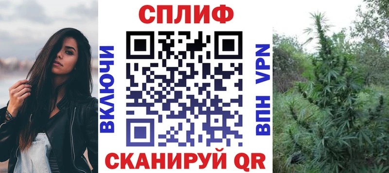 МАРИХУАНА Amnesia  что такое   Карачаевск 